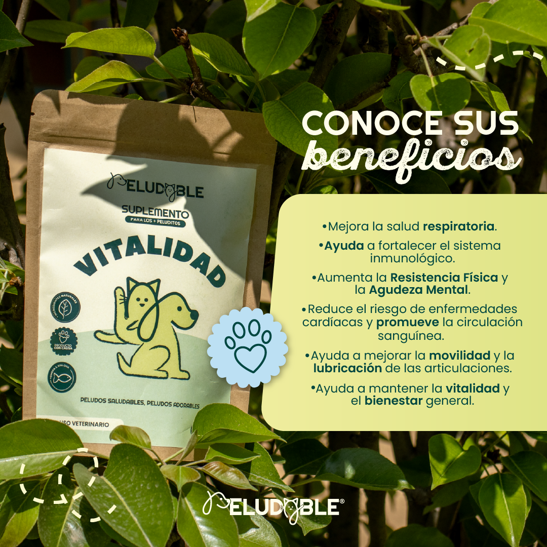 Vitalidad Suplemento Alimenticio Para Mascotas