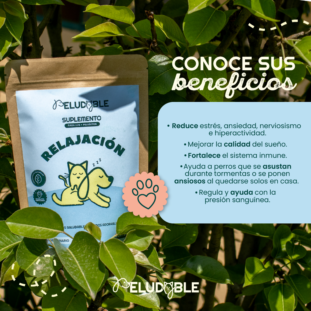 Relajación Suplemento Alimenticio Para Mascotas