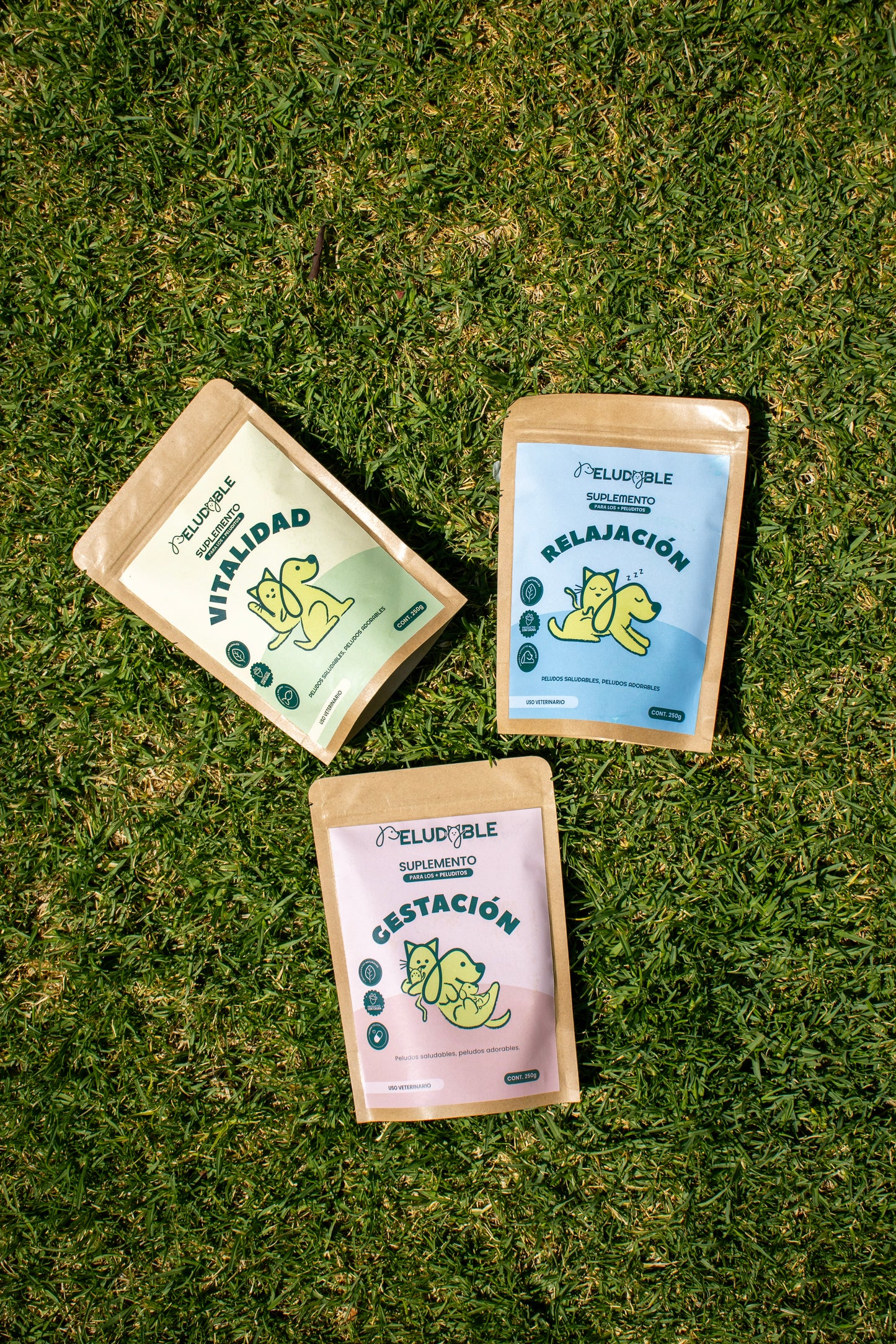 Vitalidad Suplemento Alimenticio Para Mascotas
