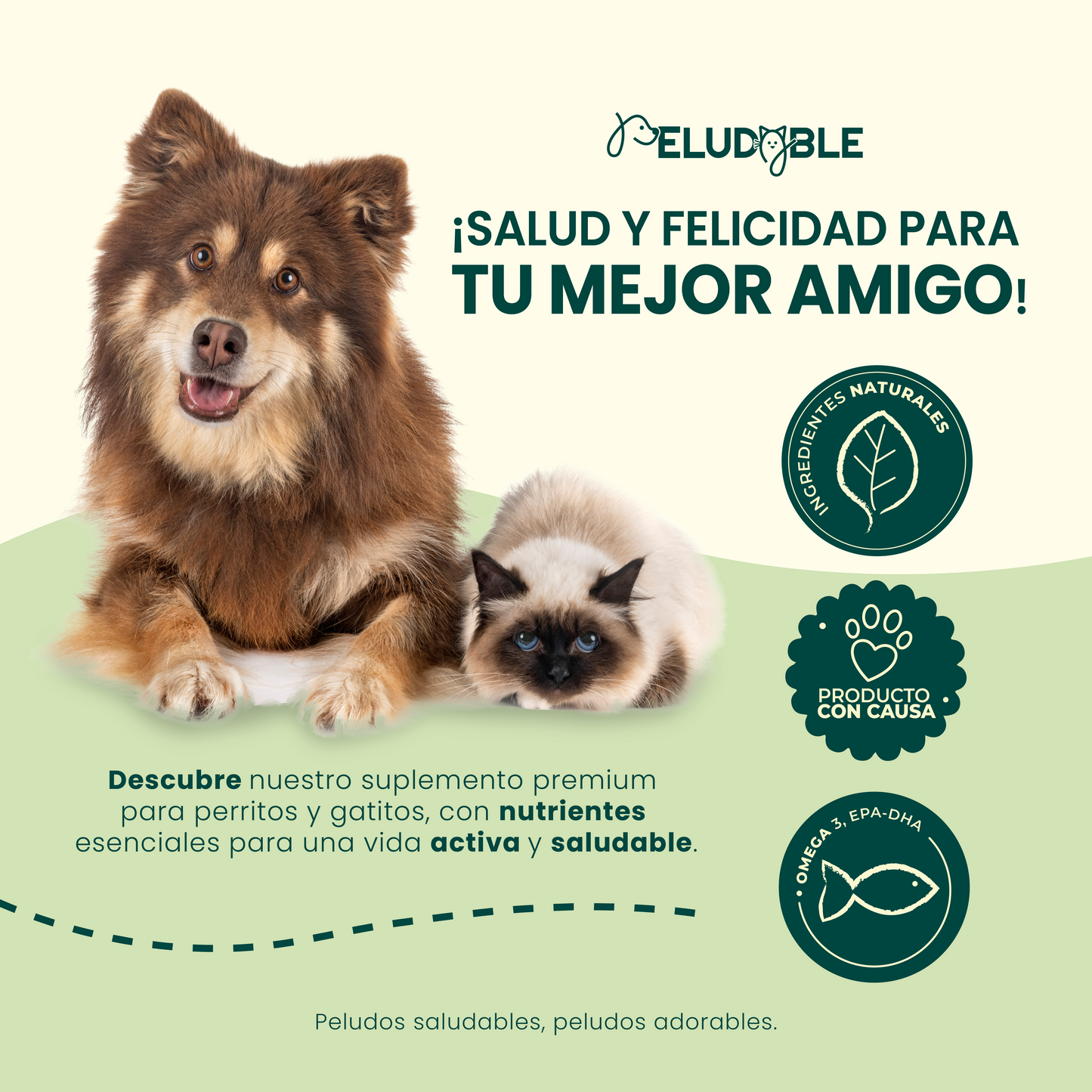Vitalidad Suplemento Alimenticio Para Mascotas