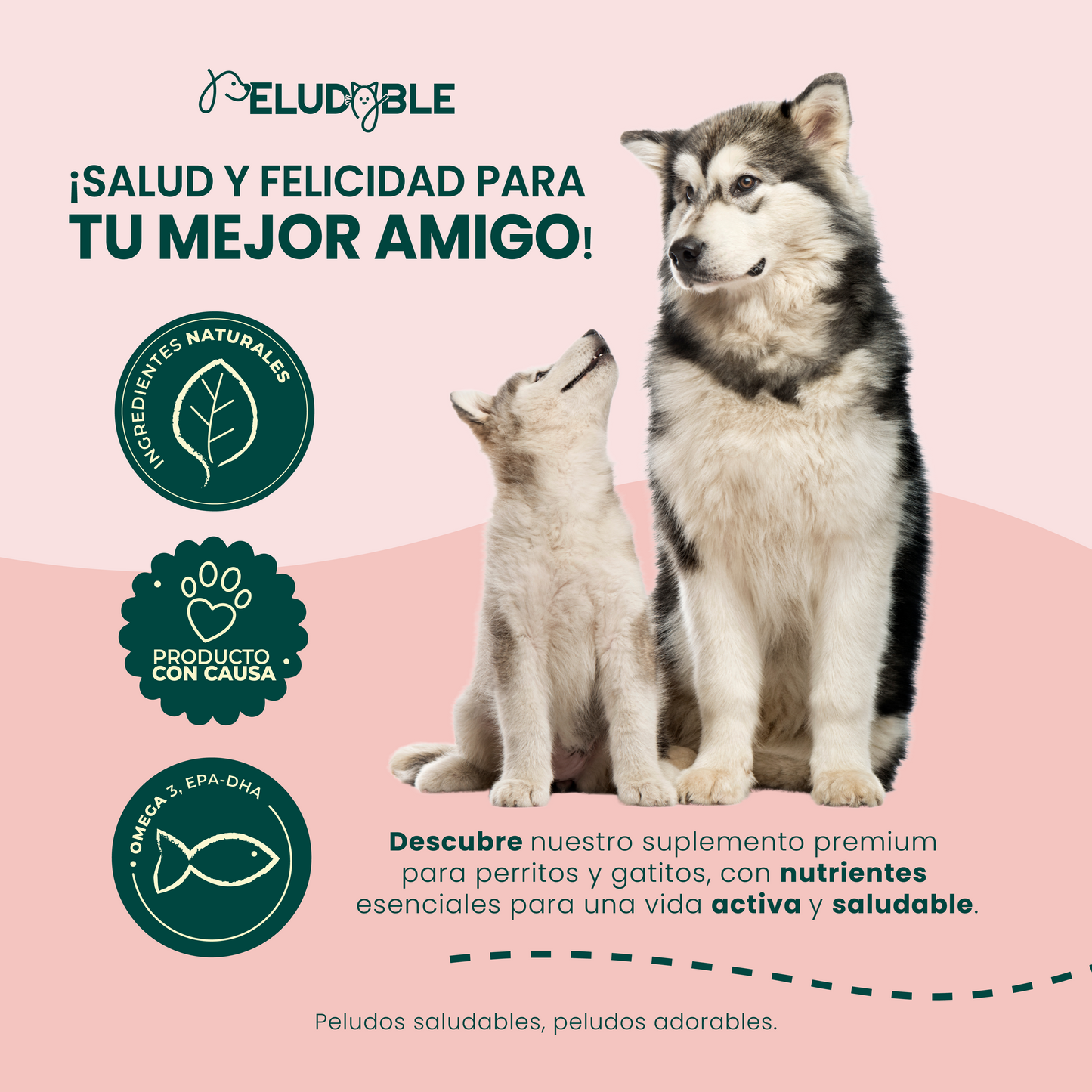 Gestación Suplemento Alimenticio Para Mascotas