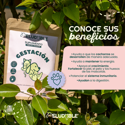 Gestación Suplemento Alimenticio Para Mascotas